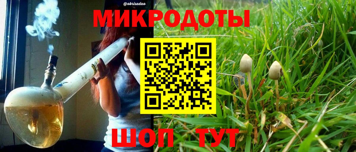 Псилоцибиновые грибы GOLDEN TEACHER Крымск
