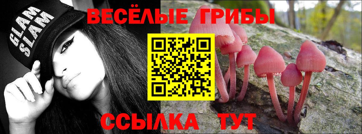 Крымск  Псилоцибиновые грибы мицелий  Вход с VPN 